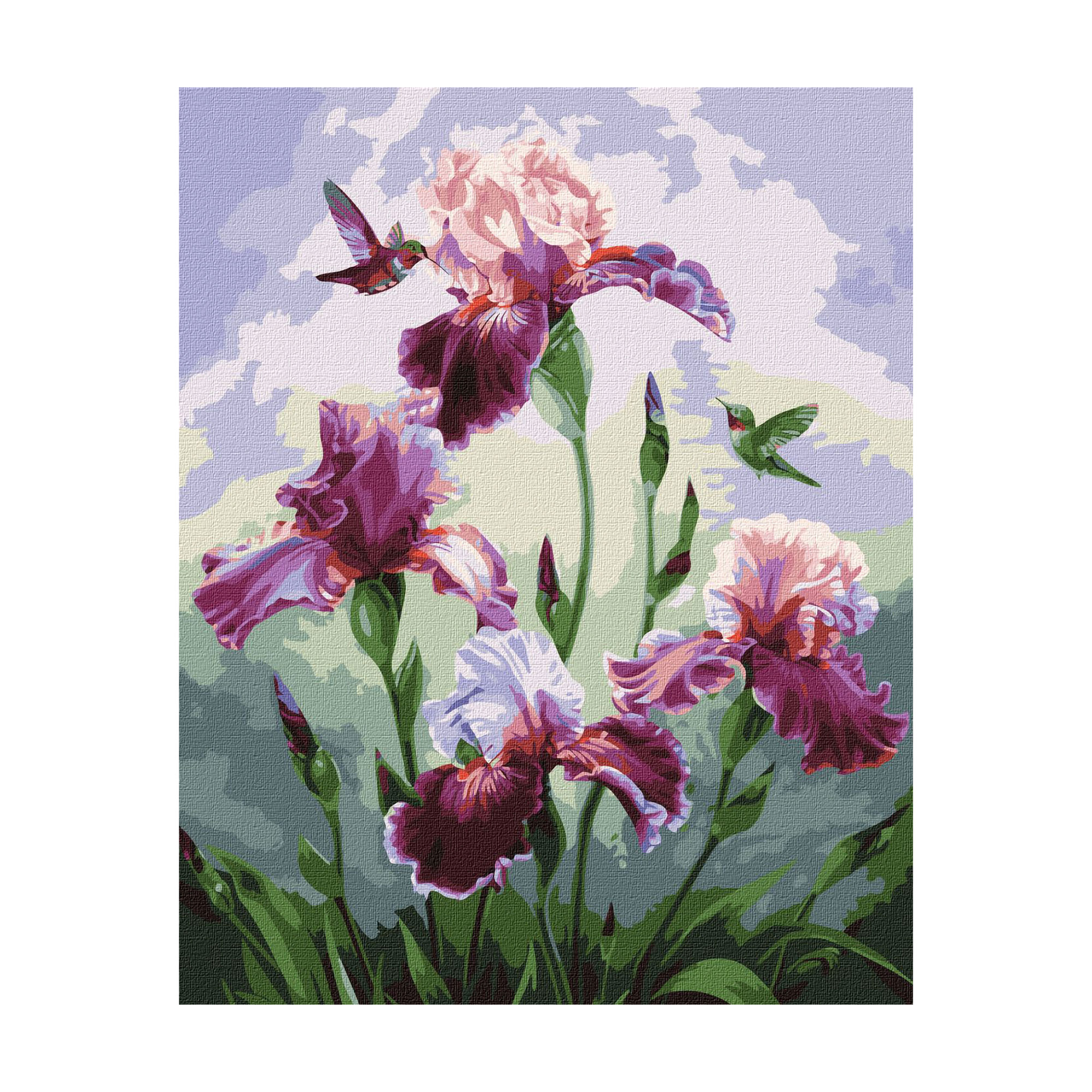 Картина за номерами Ideyka Пісня літа, 40*50 см (KHO3220)
Картина за номерами Ideyka Пісня літа, 40*50 см (KHO3220)