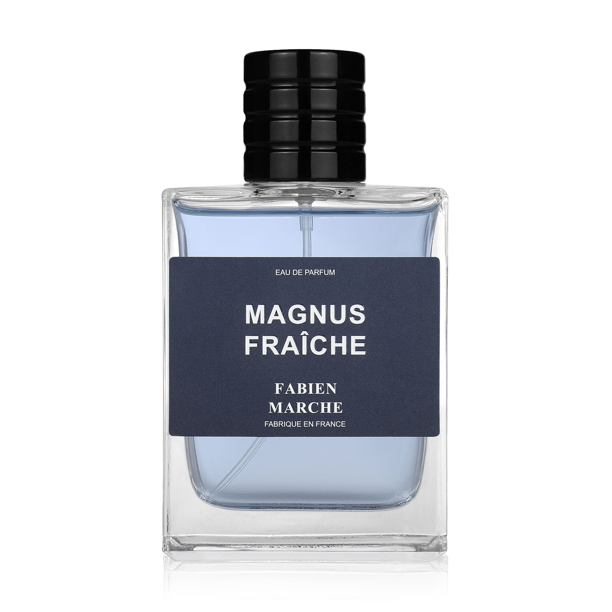 Fabien Marche Privee Magnus Fraiche Парфумована вода чоловіча, 100 мл
Fabien Marche Privee Magnus Fraiche Парфумована вода чоловіча, 100 мл