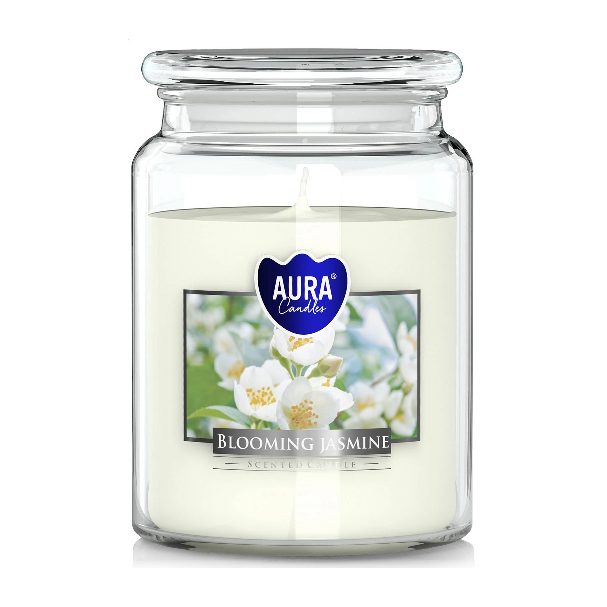 Ароматична свічка в банці Bispol Scented Candle Aura Blooming Jasmine, 500 г (snd99-169)
Ароматична свічка в банці Bispol Scented Candle Aura Blooming Jasmine, 500 г (snd99-169)