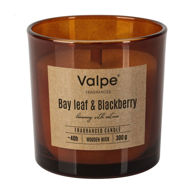 Ароматична свічка в склянці Bispol Valpe Fragrances Candle Bay Leaf & Blackberry, 300 г (sn100-080-325)
Ароматична свічка в склянці Bispol Valpe Fragrances Candle Bay Leaf & Blackberry, 300 г (sn100-080-325)