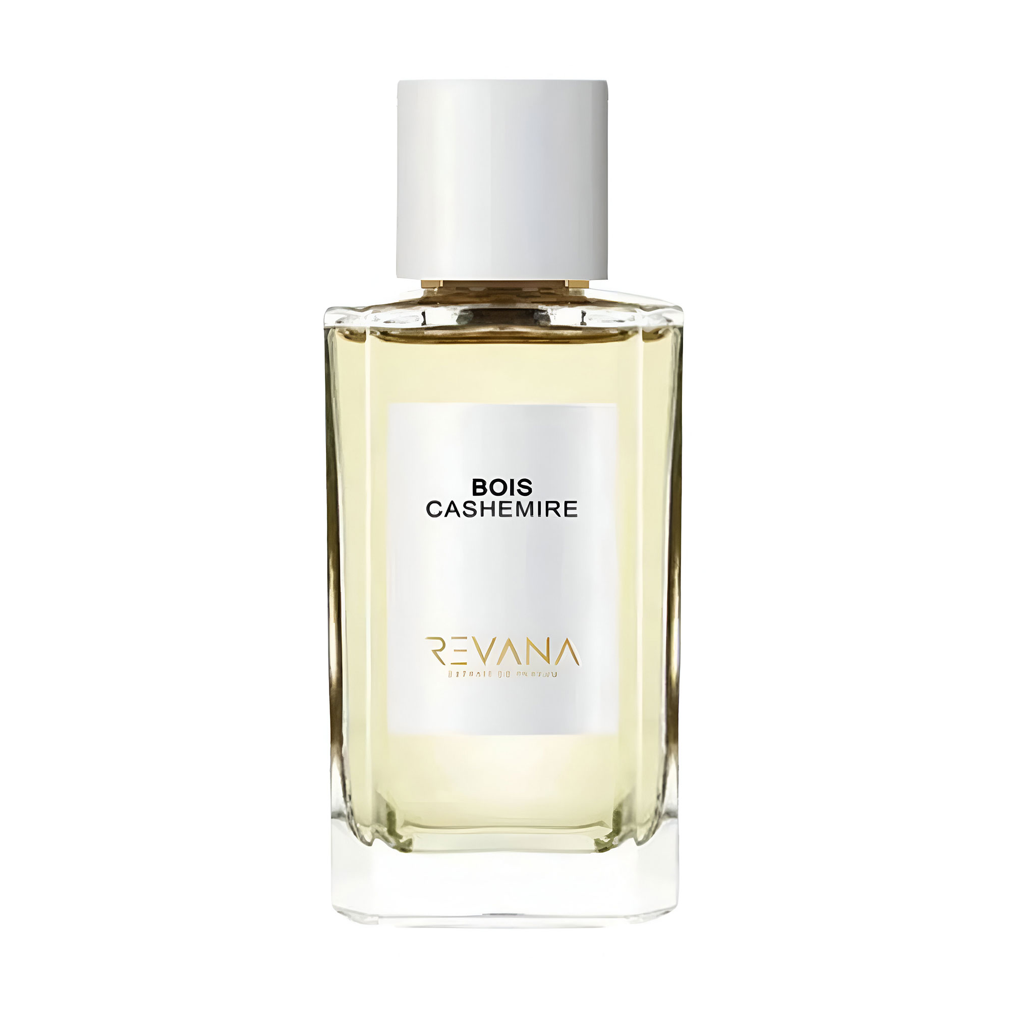 Revana Bois Cashemire Парфуми жіночі, 100 мл
Revana Bois Cashemire Парфуми жіночі, 100 мл