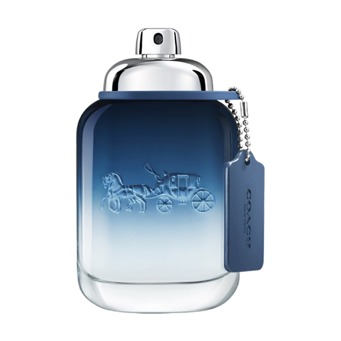 Coach Blue 2020 Туалетна вода чоловіча, 100 мл
Coach Blue 2020 Туалетна вода чоловіча, 100 мл
