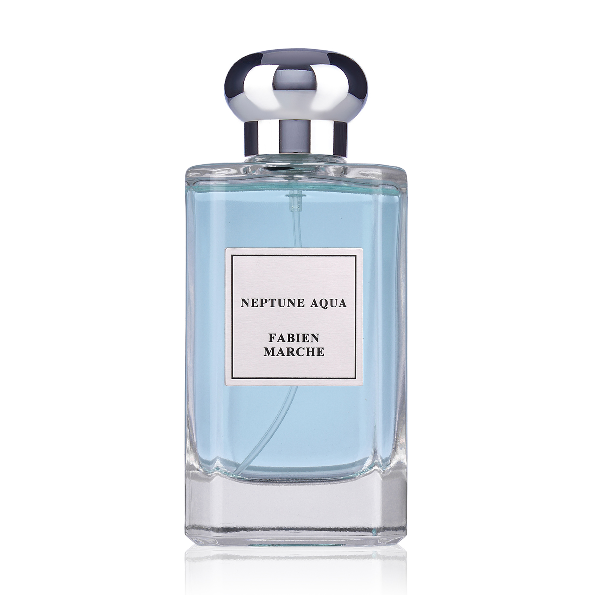 Fabien Marche Neptune Aqua Парфумована вода чоловіча, 100 мл
Fabien Marche Neptune Aqua Парфумована вода чоловіча, 100 мл
