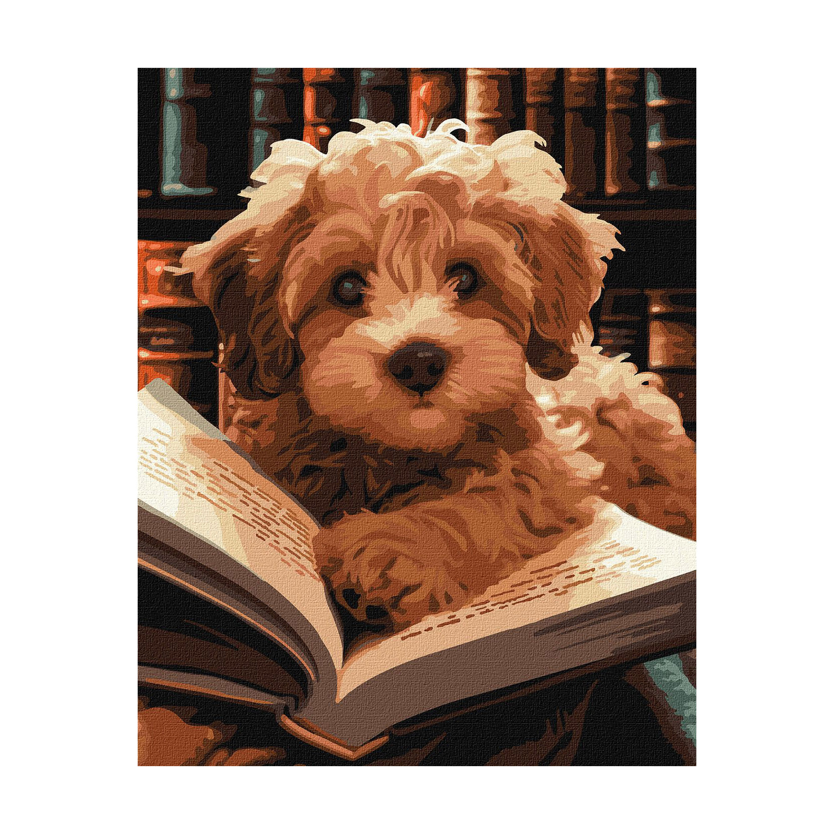 Картина за номерами Ideyka Пухнастий читач, 40*50 см (KHO6587)
Картина за номерами Ideyka Пухнастий читач, 40*50 см (KHO6587)