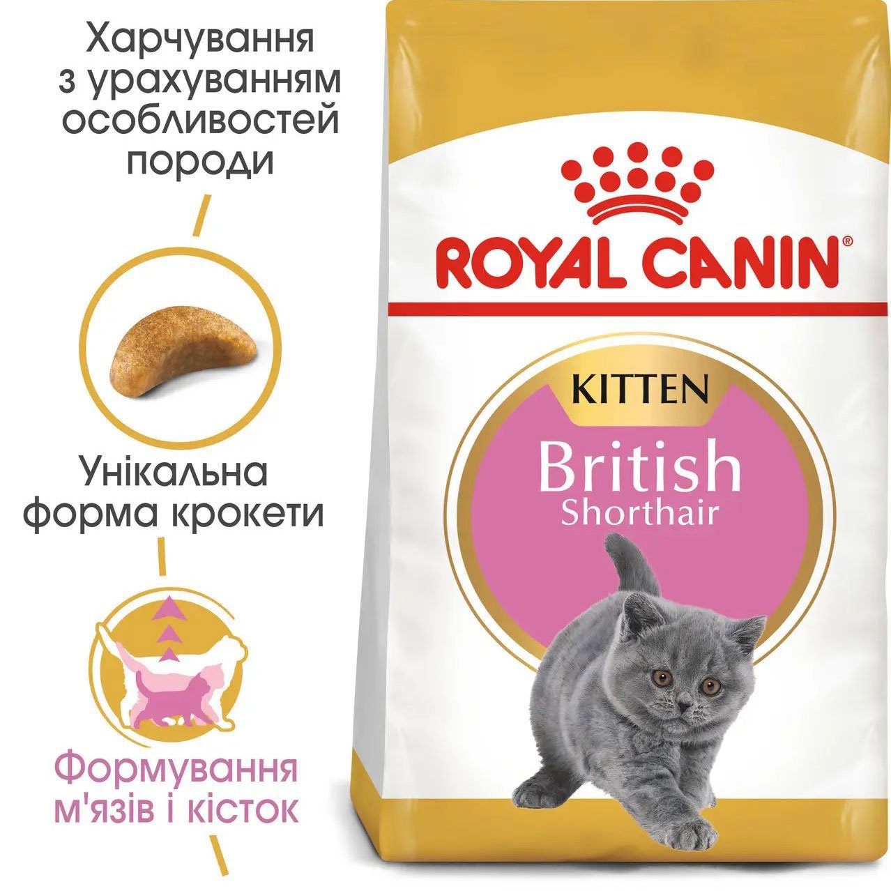 

Сухий корм для кошенят породи британська короткошерста Royal Canin British Shorthair Kitten, 10 кг (2566100)