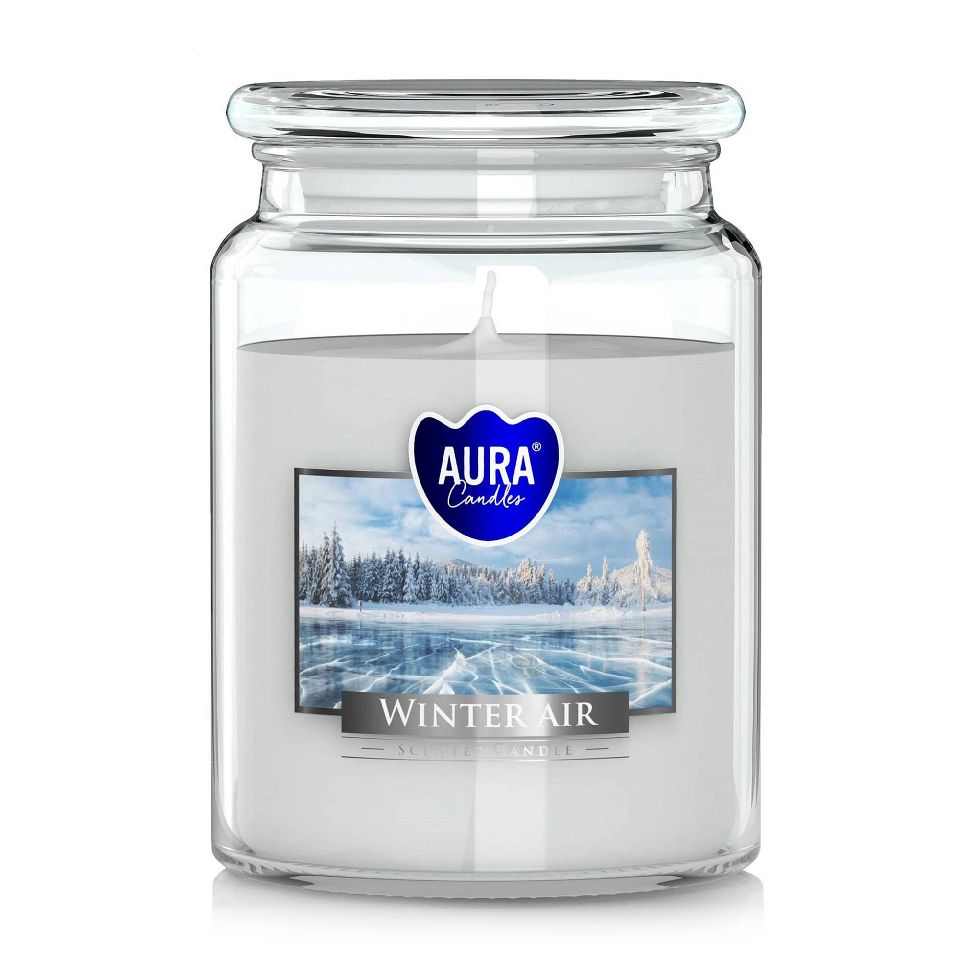 

Ароматична свічка в банці Bispol Scented Candle Aura Winter Air, 500 г (snd99-375)
