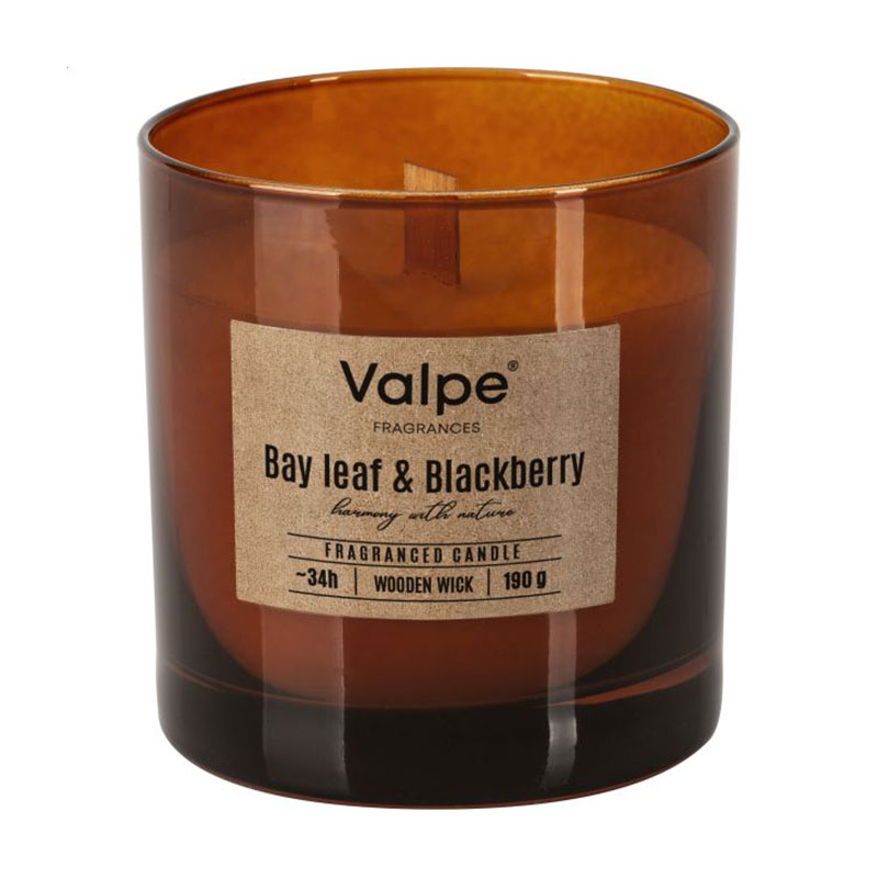 

Ароматична свічка в склянці Bispol Valpe Fragrances Candle Bay Leaf & Blackberry, 190 г (sn82-080-325)
