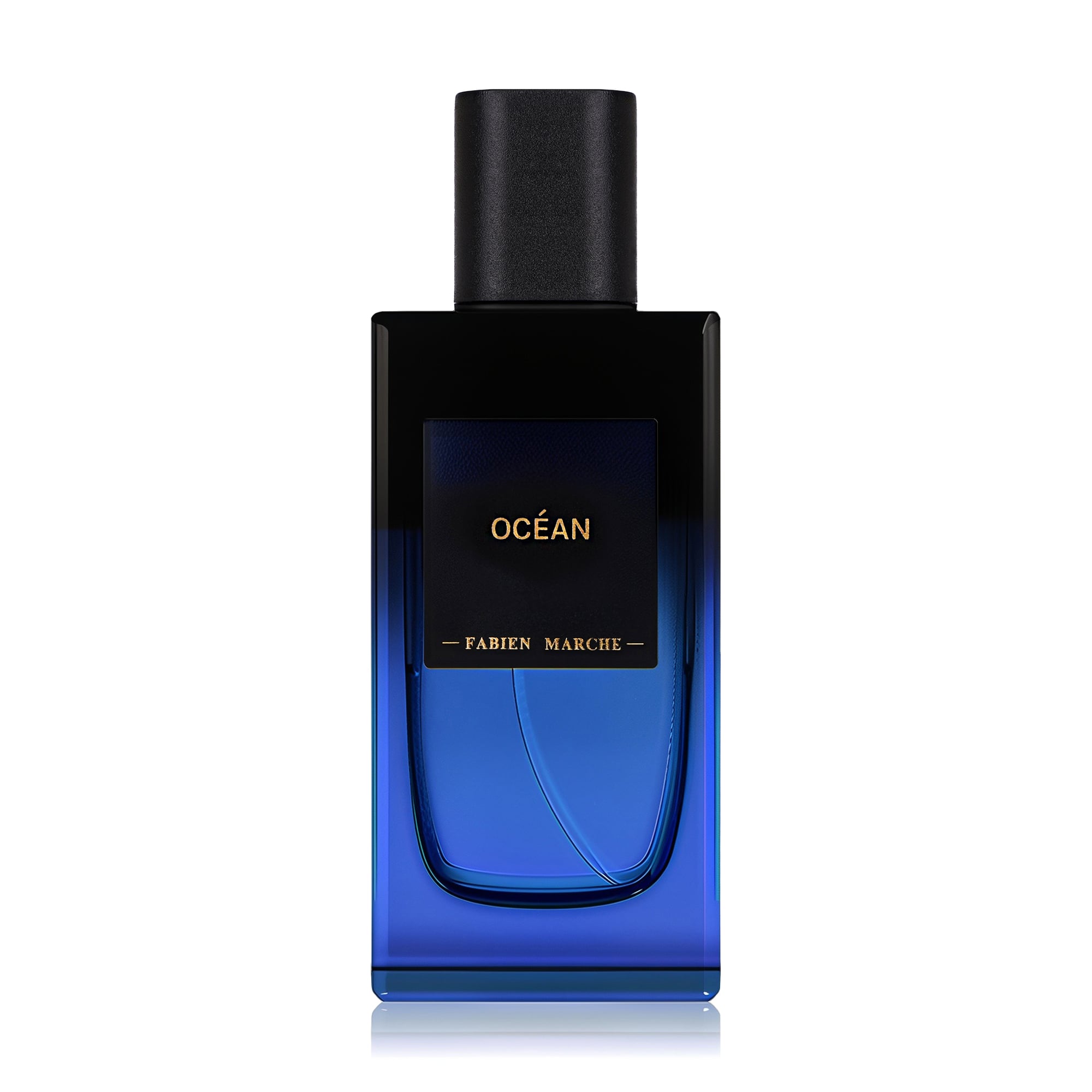 

Fabien Marche Precious Ocean Парфумована вода чоловіча, 100 мл