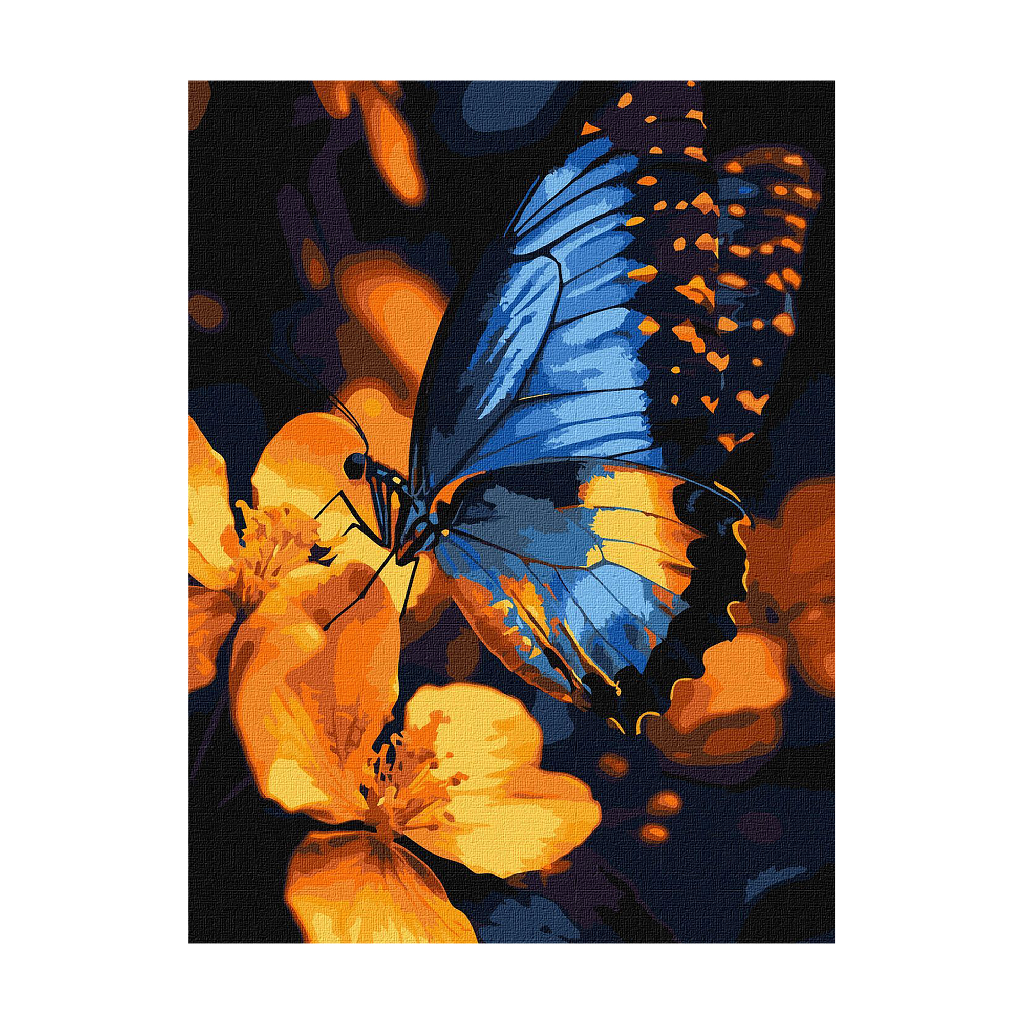 

Картина за номерами Ideyka Мерехтіння крил, 30*40 см (KHO6731)