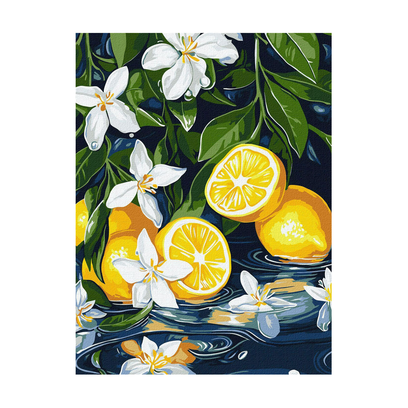 

Картина за номерами Ideyka Лимон у розрізі, 30*40 см (KHO5733)