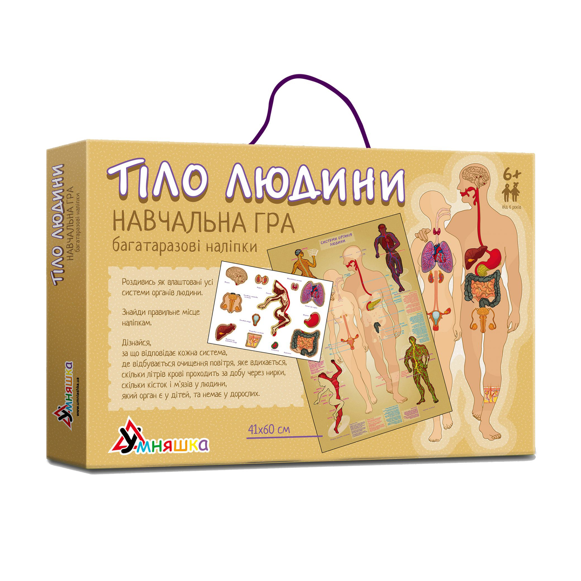 

Навчальна гра Умняшка Тіло людини, з багаторазовими наліпками, українською мовою, від 6 років (КП-004у)