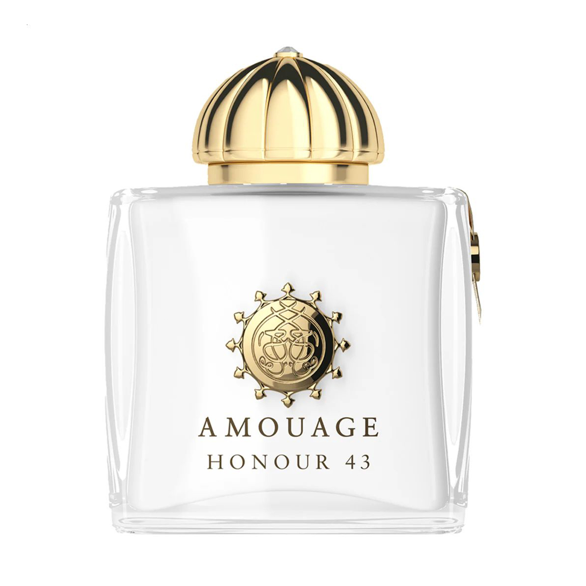 

Amouage Honour 43 Парфуми жіночі, 100 мл (ТЕСТЕР)