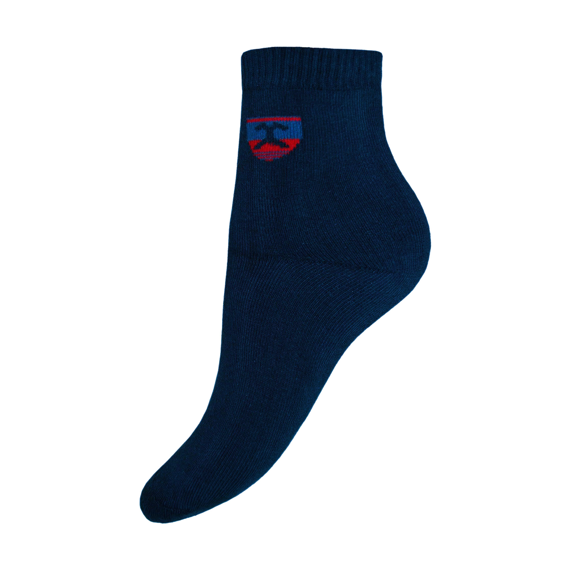 

Шкарпетки дитячі Легка Хода 9190 маріне, розмір 22-24