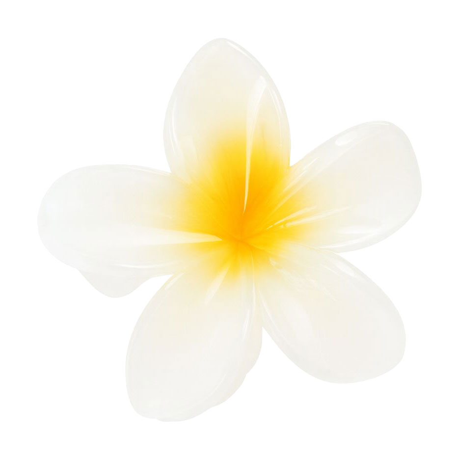 

Набір заколок для волосся квіти, білі, 3 шт (E25092626)