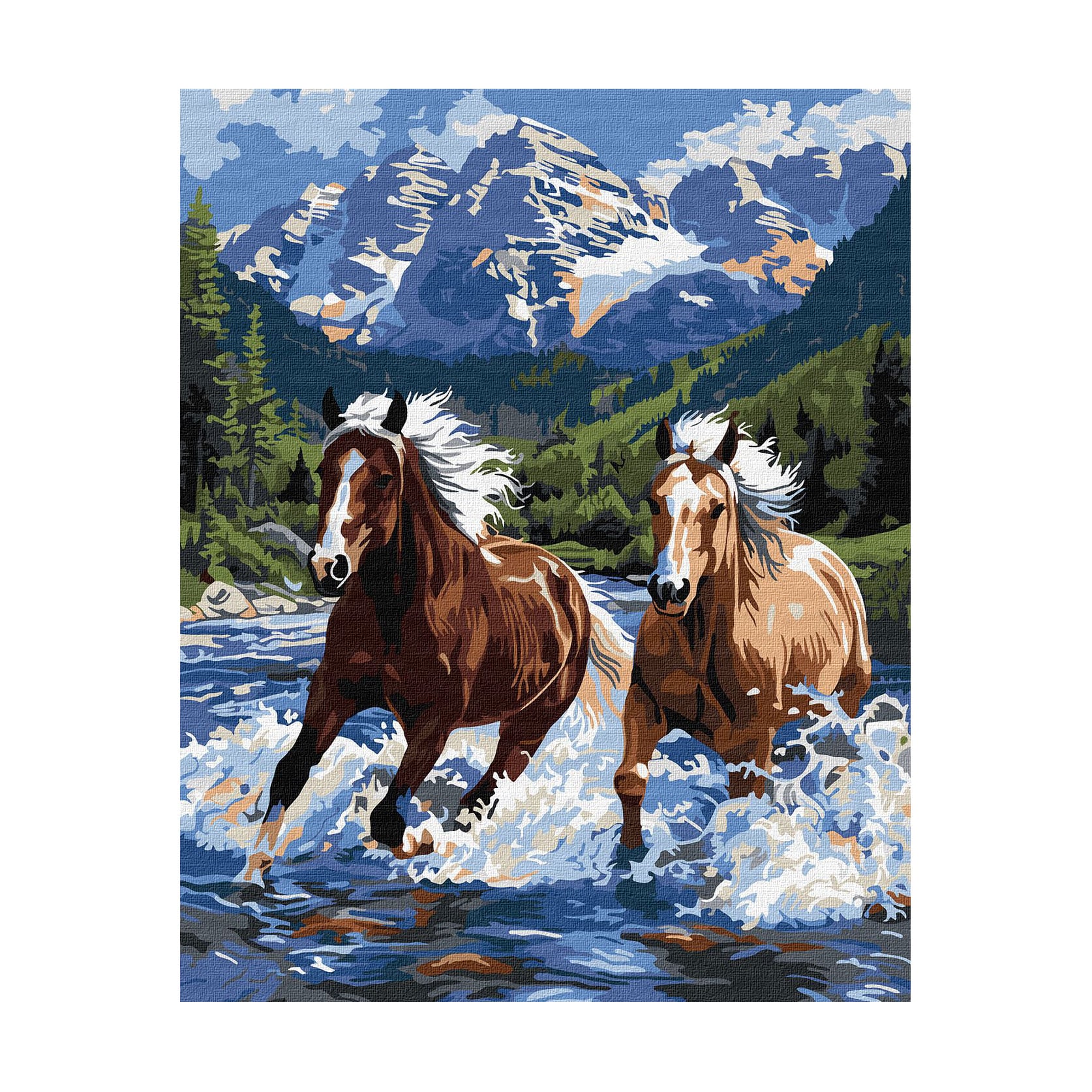 

Картина за номерами Ideyka Сила у русі, 40*50 см (KHO6830)