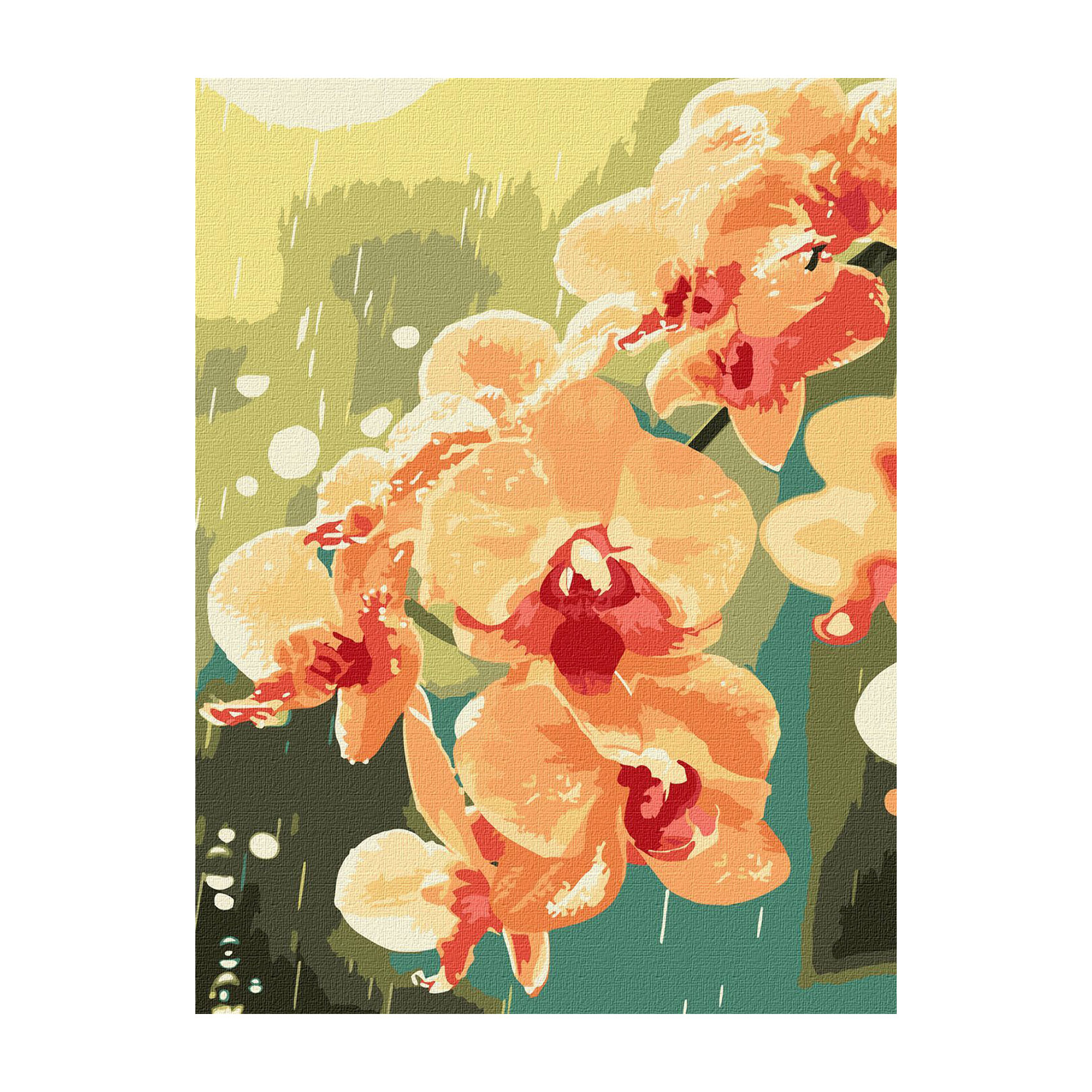 

Картина за номерами Ideyka Орхідея в краплях, 30*40 см (KHO3325)