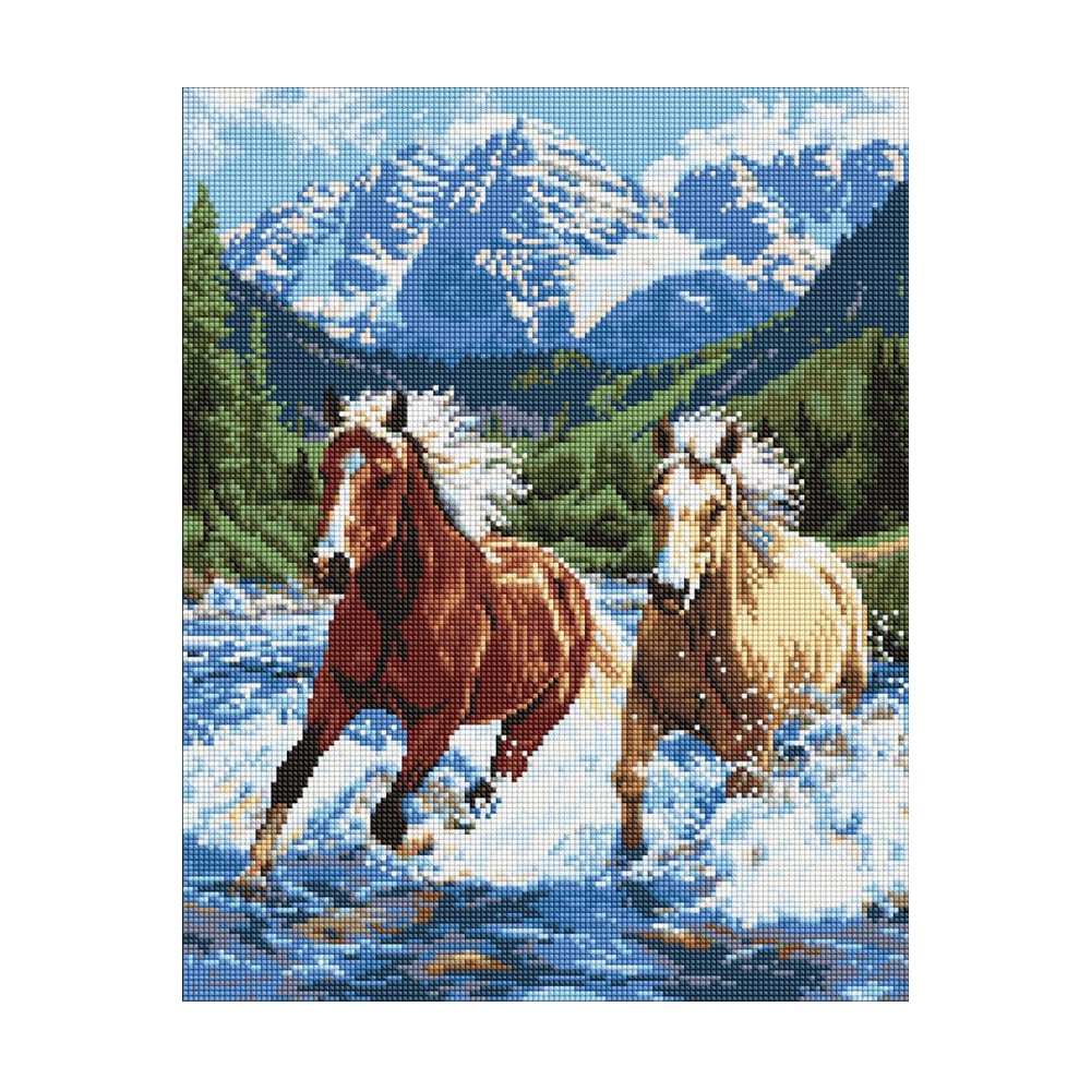 

Алмазна мозаїка Ideyka Сила у русі, 40*50 см (AMO20010)