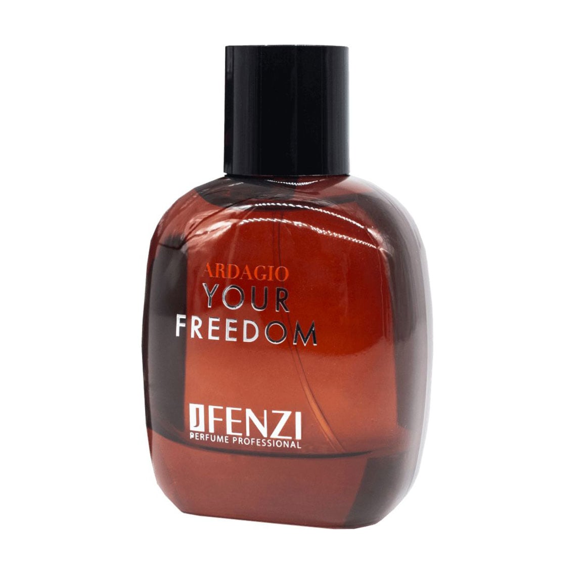 

Jfenzi Ardagio Your Freedom Парфумована вода чоловіча, 100 мл