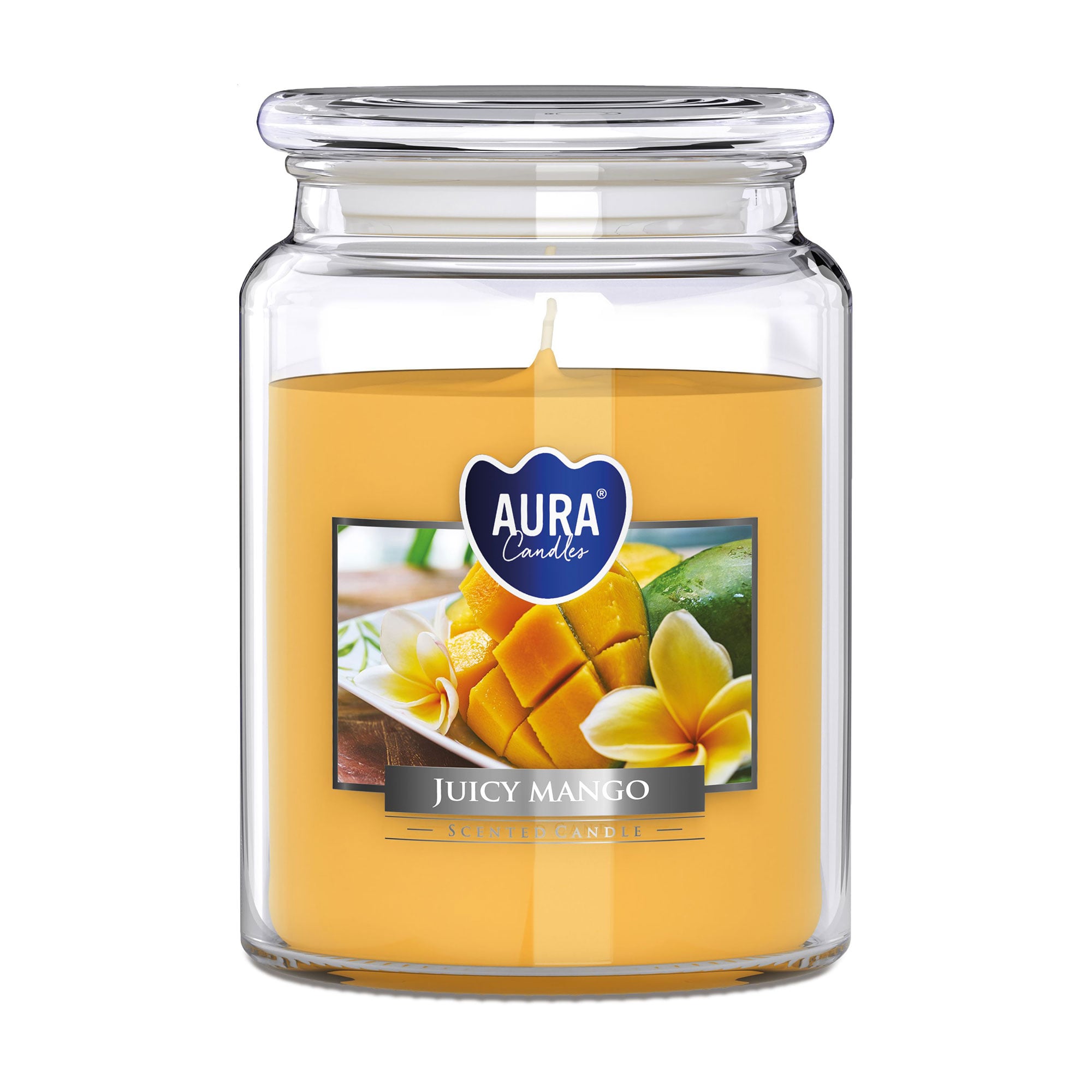 

Ароматична свічка в склянці Bispol Aura Scented Candle, Juicy Mango, 14 см, 500 г (snd99-475)