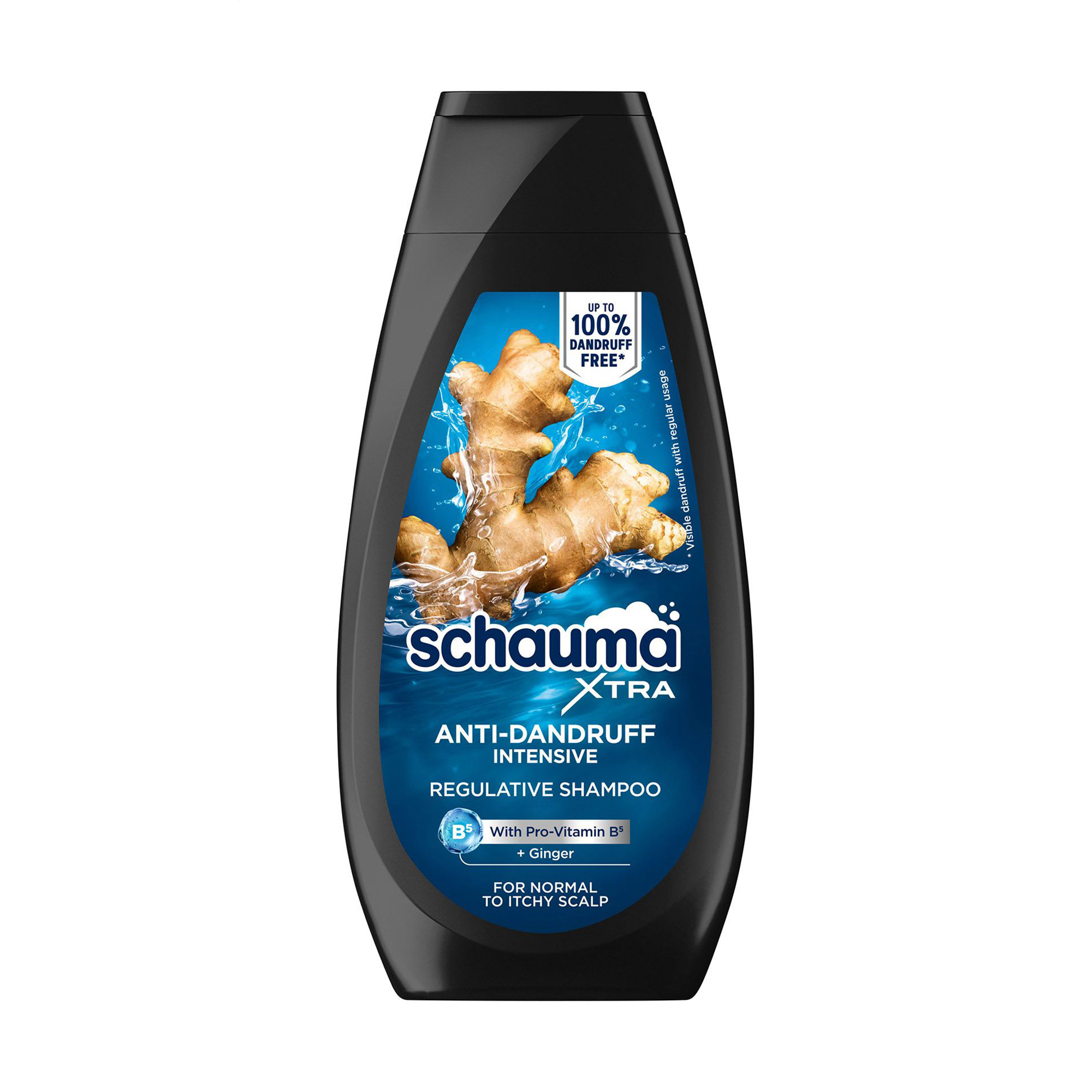 

Чоловічий шампунь для волосся Schauma Anti-Dandruff Intensive Shampoo проти лупи, 350 мл