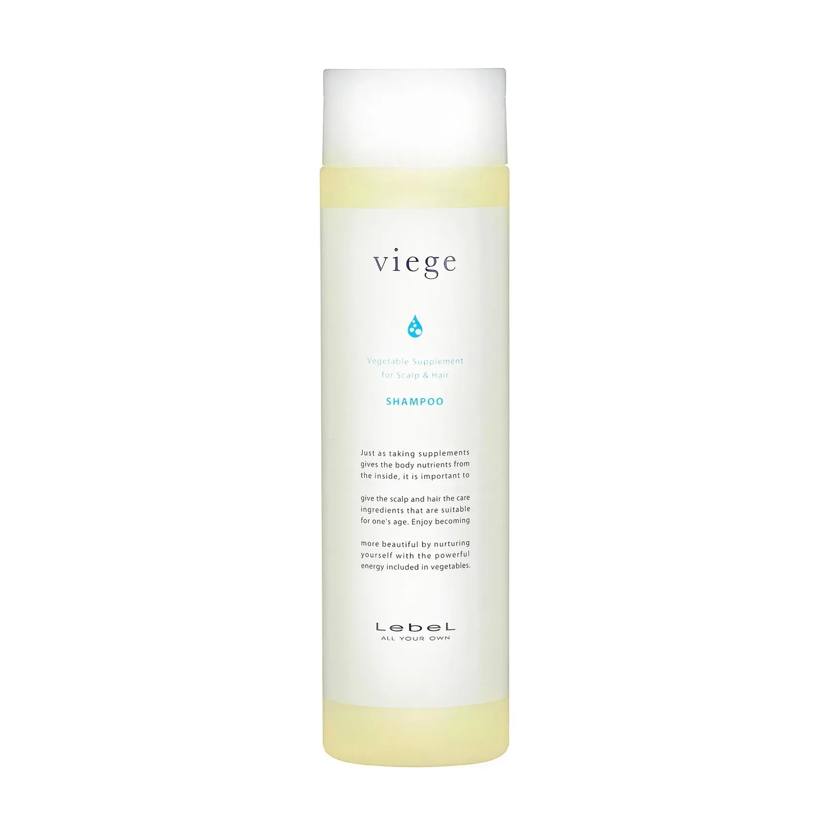 Відновлювальний шампунь для волосся та шкіри голови LebeL Viege Shampoo, 240 мл