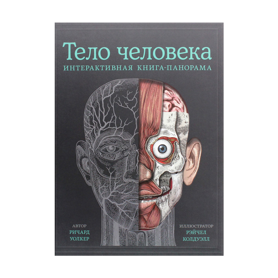 

Тело человека. Интерактивная книга-панорама - Ричард Уолкер
