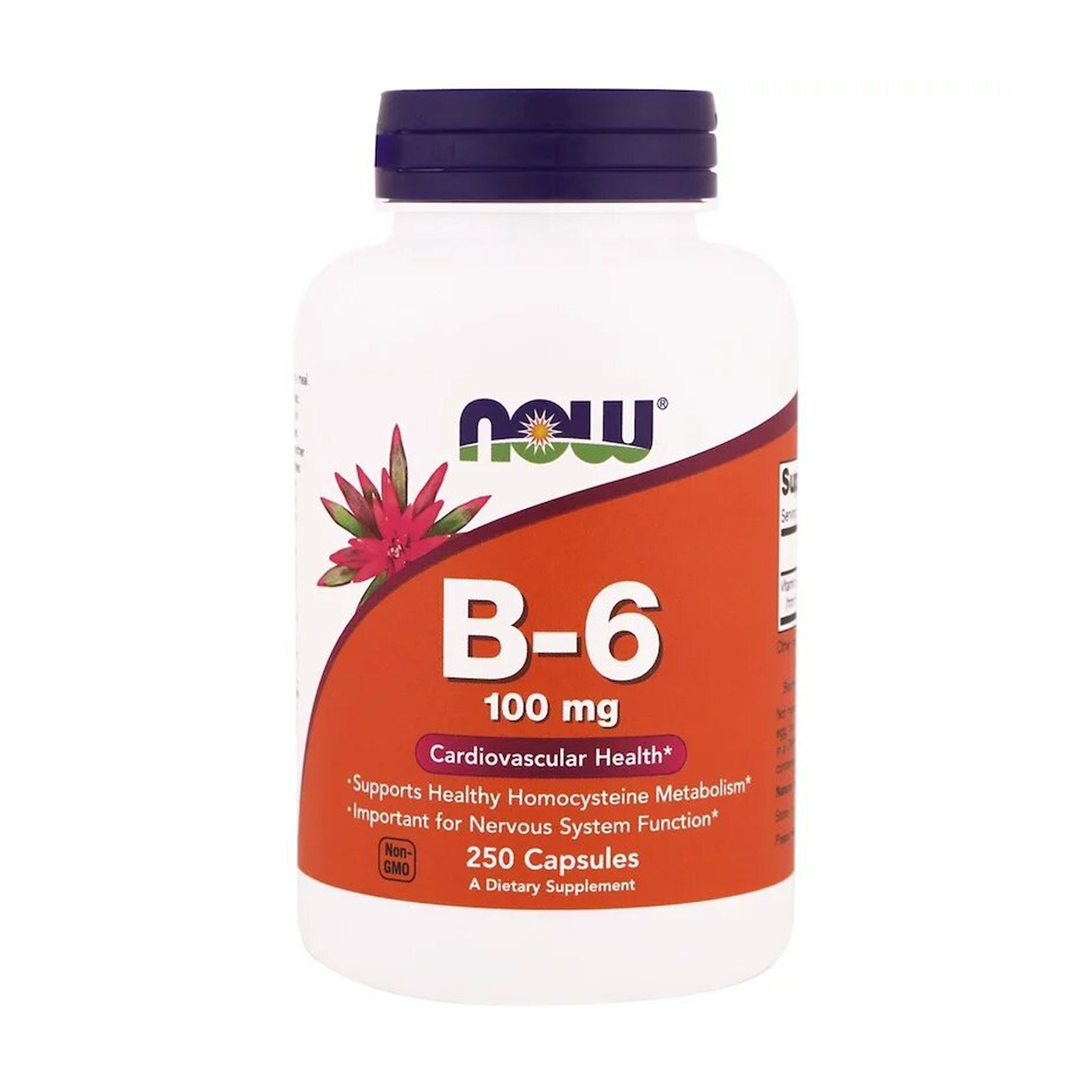 

Вітамін B6 NOW foods Vitamin B6 100 мг, 250 капсул