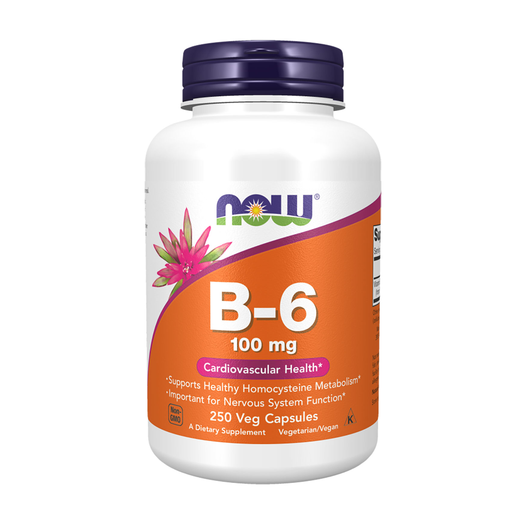 

Вітамін B6 NOW foods Vitamin B6 100 мг, 250 капсул