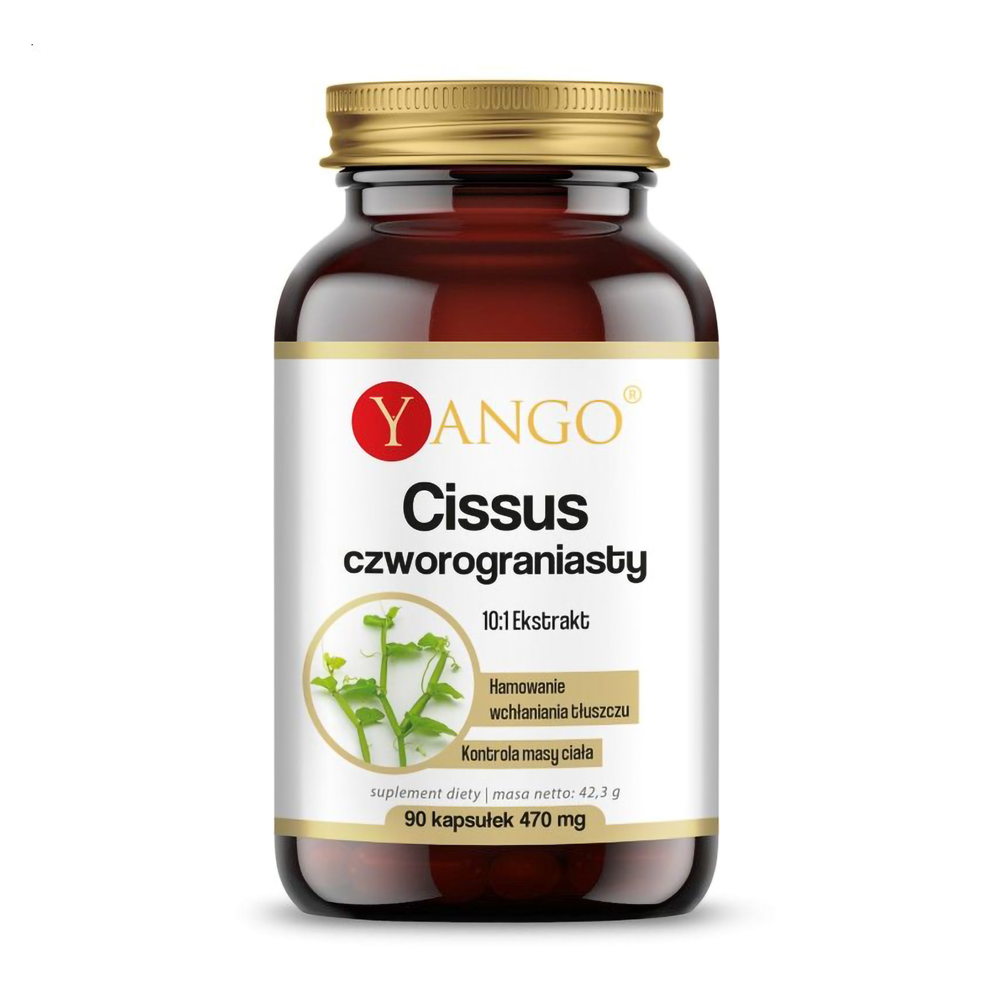 

Цисус чотирикутний Yango Cissus Quadrangularis 470 мг, 90 капсул