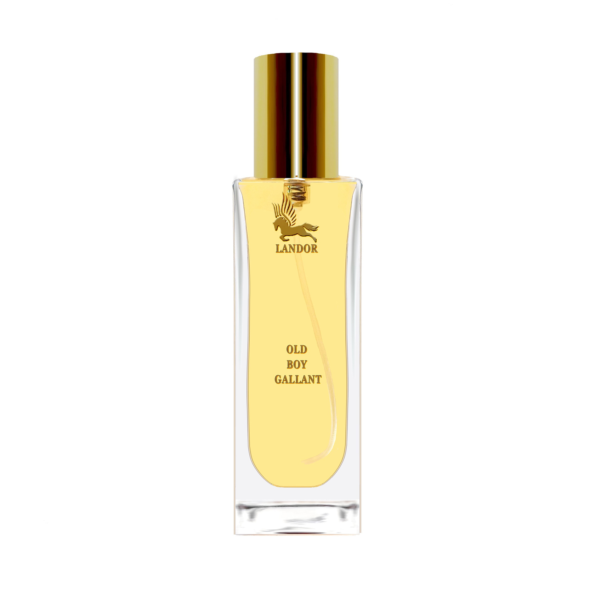

Landor Old Boy Gallant Парфумована вода чоловіча, 30 мл