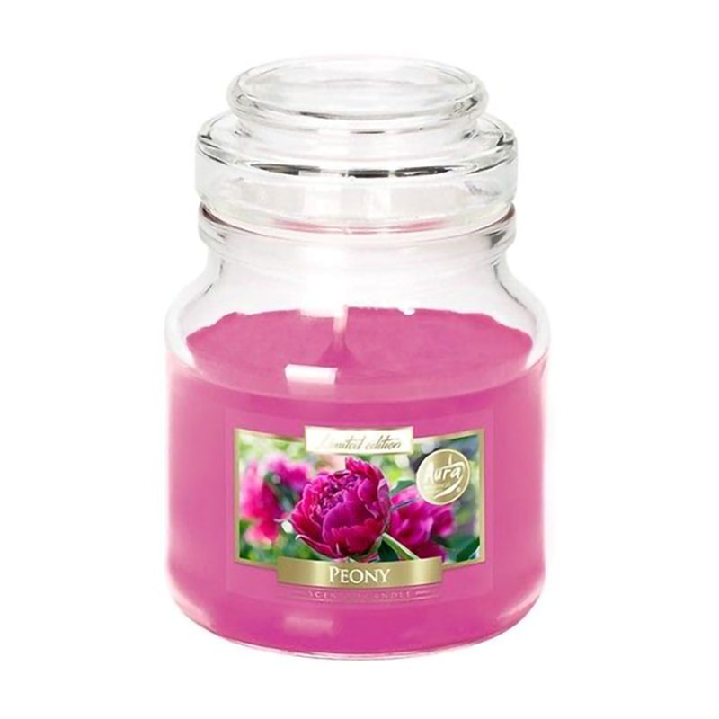 

Ароматична свічка Bispol Scented Candle Peony, 120 г (snd71-157)