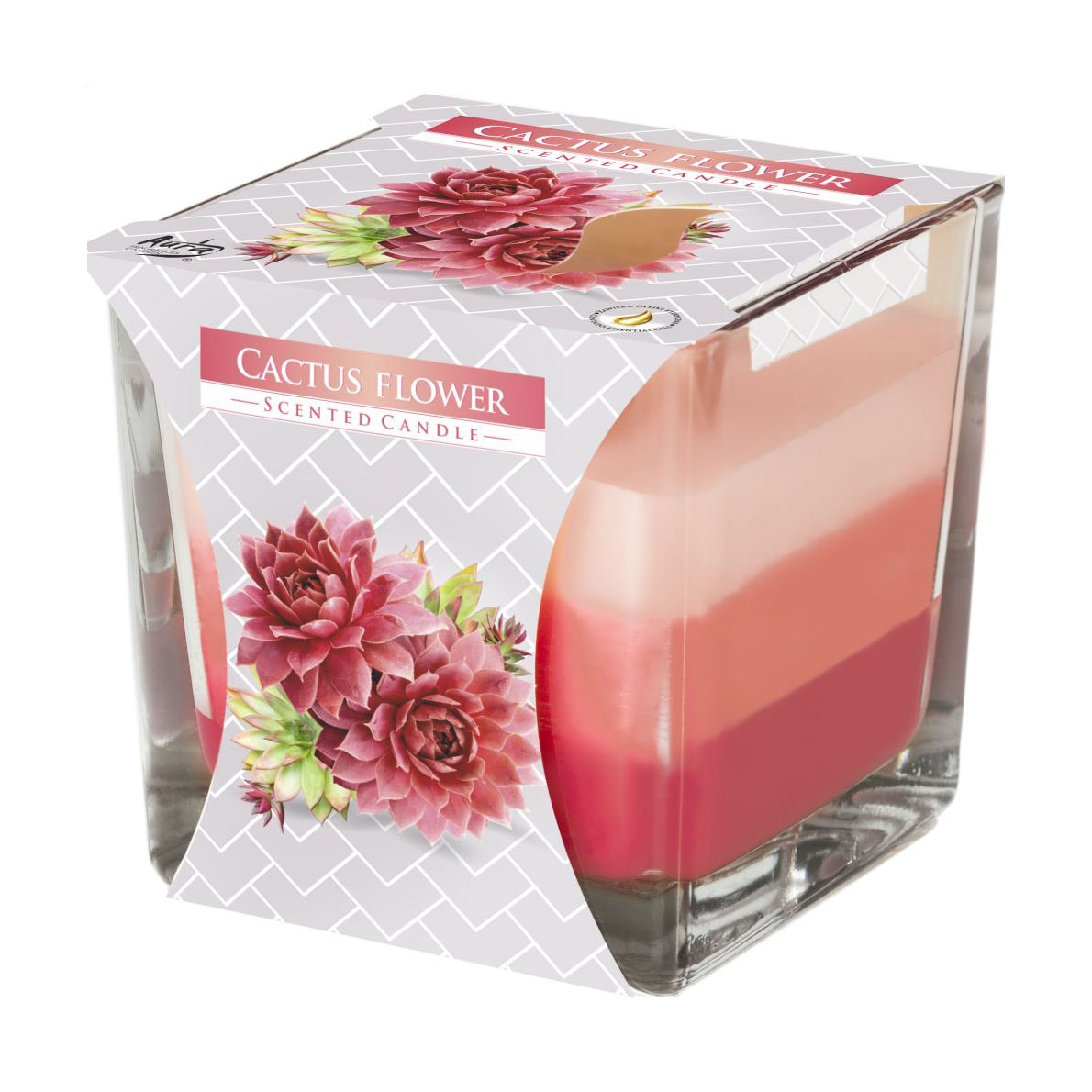 

Ароматична свічка Bispol Scented Candle Cactus Flower, 170 г (snk80-312)