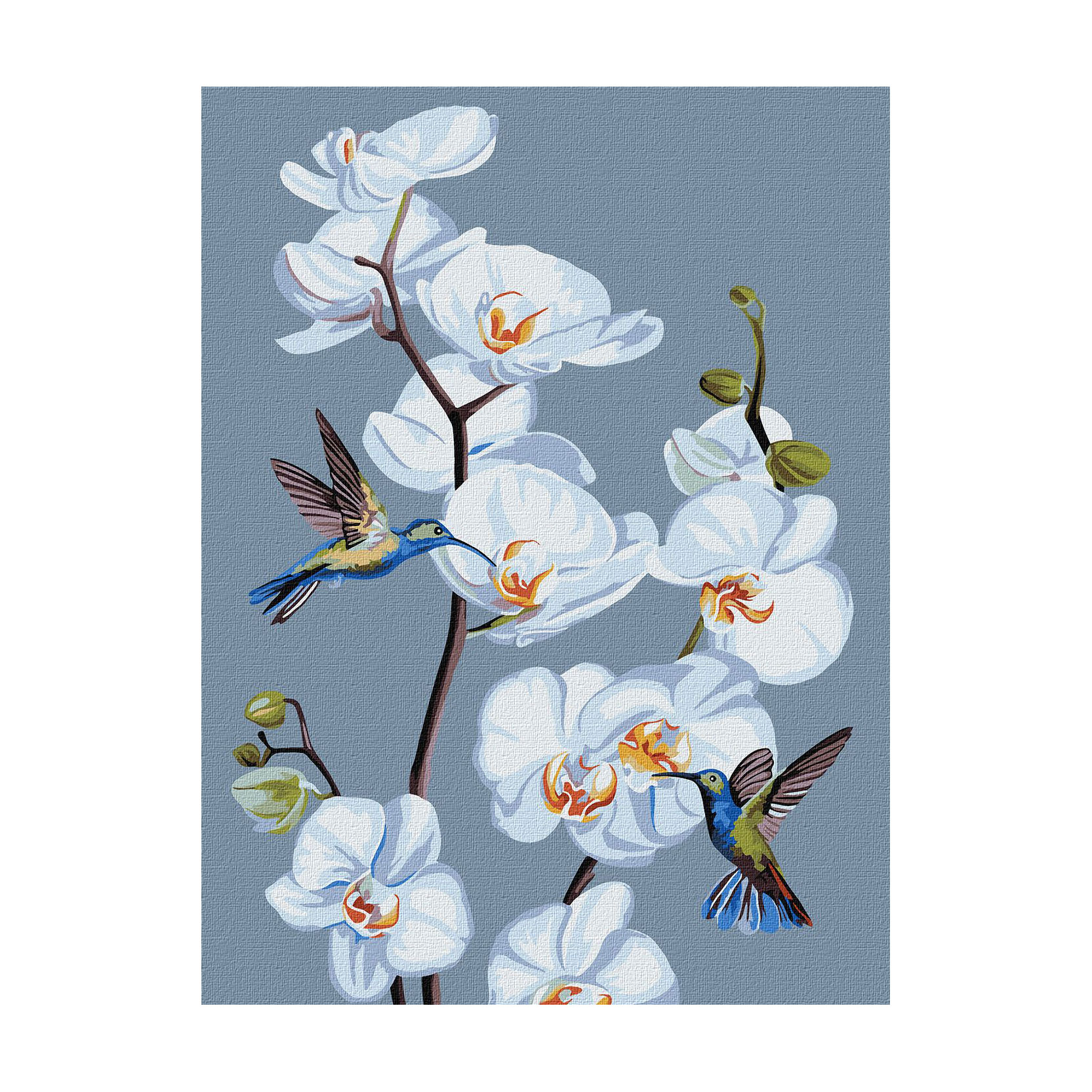 

Картина за номерами Ideyka Квітучі орхідеї, 30*40 см (KHO3241)