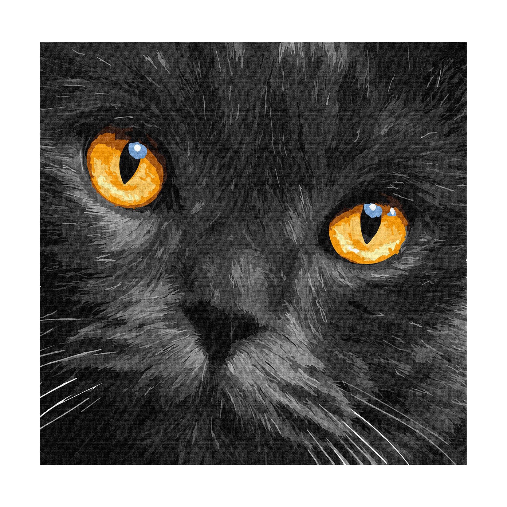 

Картина за номерами Ideyka Бурштинові очі, 40*40 см (KHO4391)