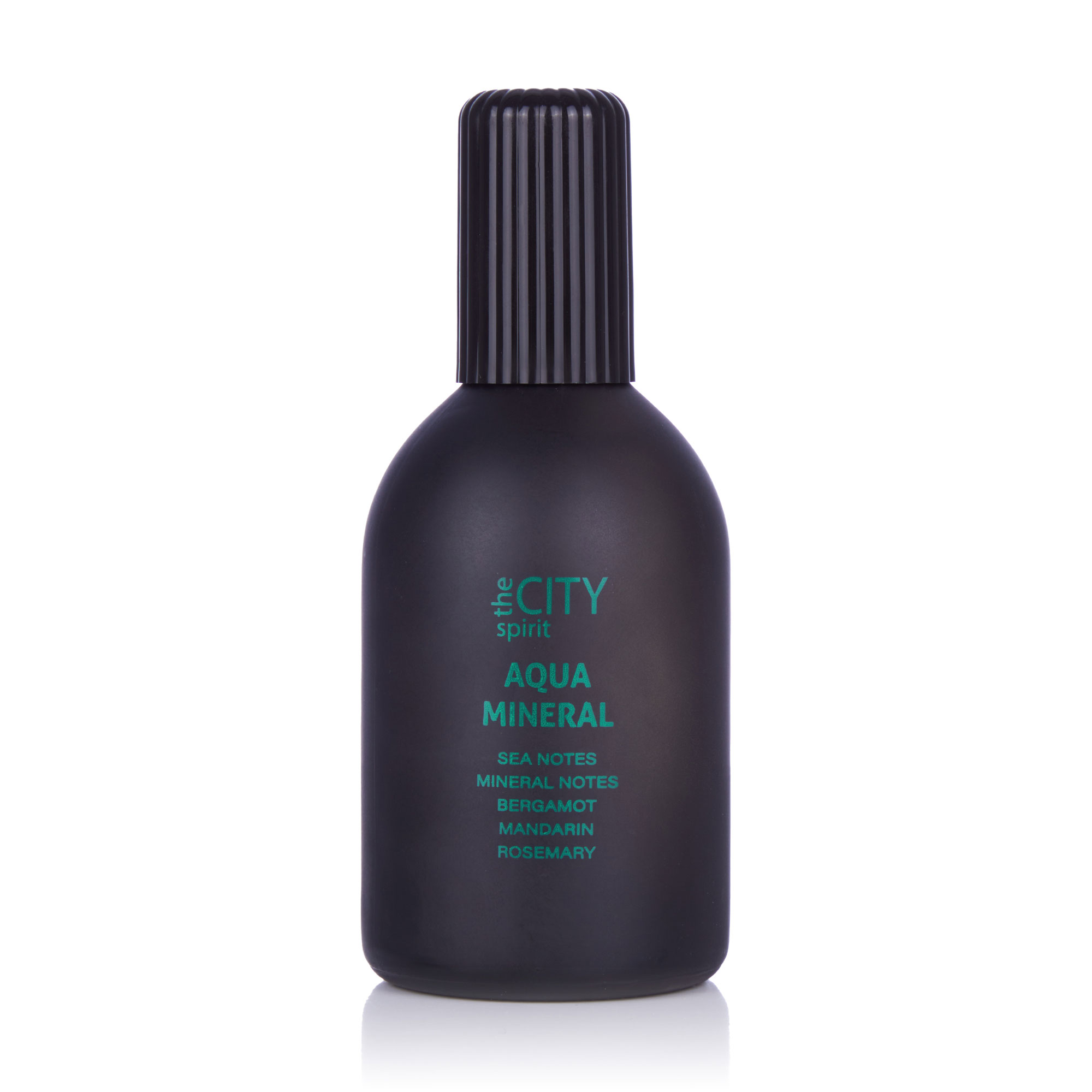 

The City Spirit Aqua Mineral Туалетна вода чоловіча, 115 мл