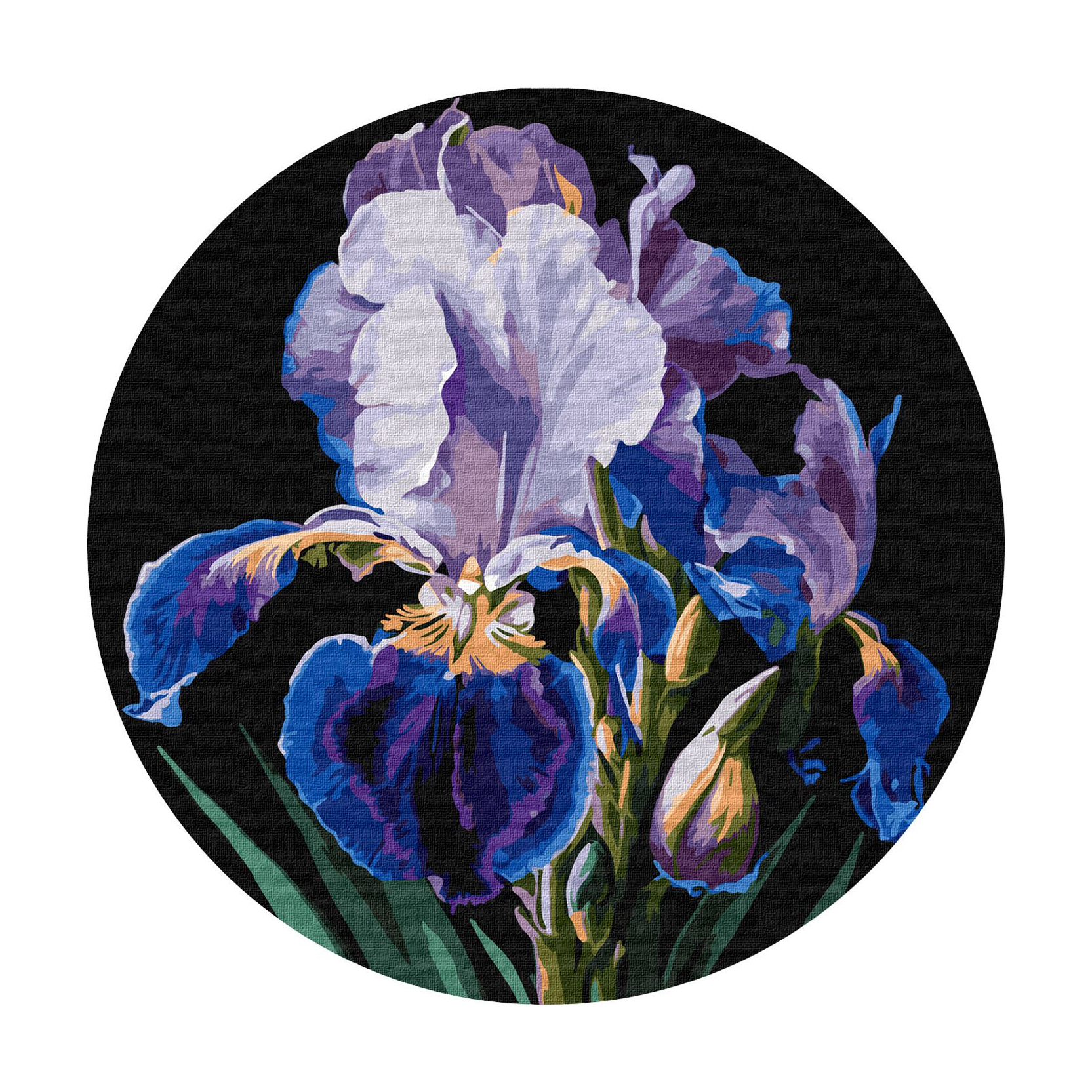 

Картина за номерами Ideyka Ніжні іриси, 33 см (KHO-R1021)