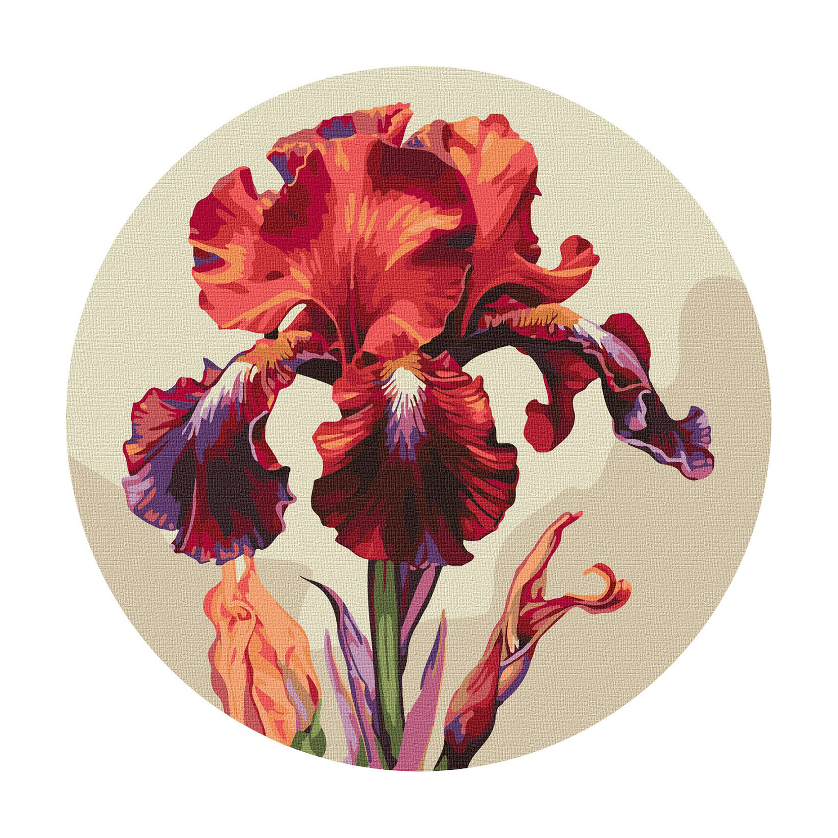 

Картина за номерами Ideyka Чарівний ірис, 33 см (KHO-R1023)