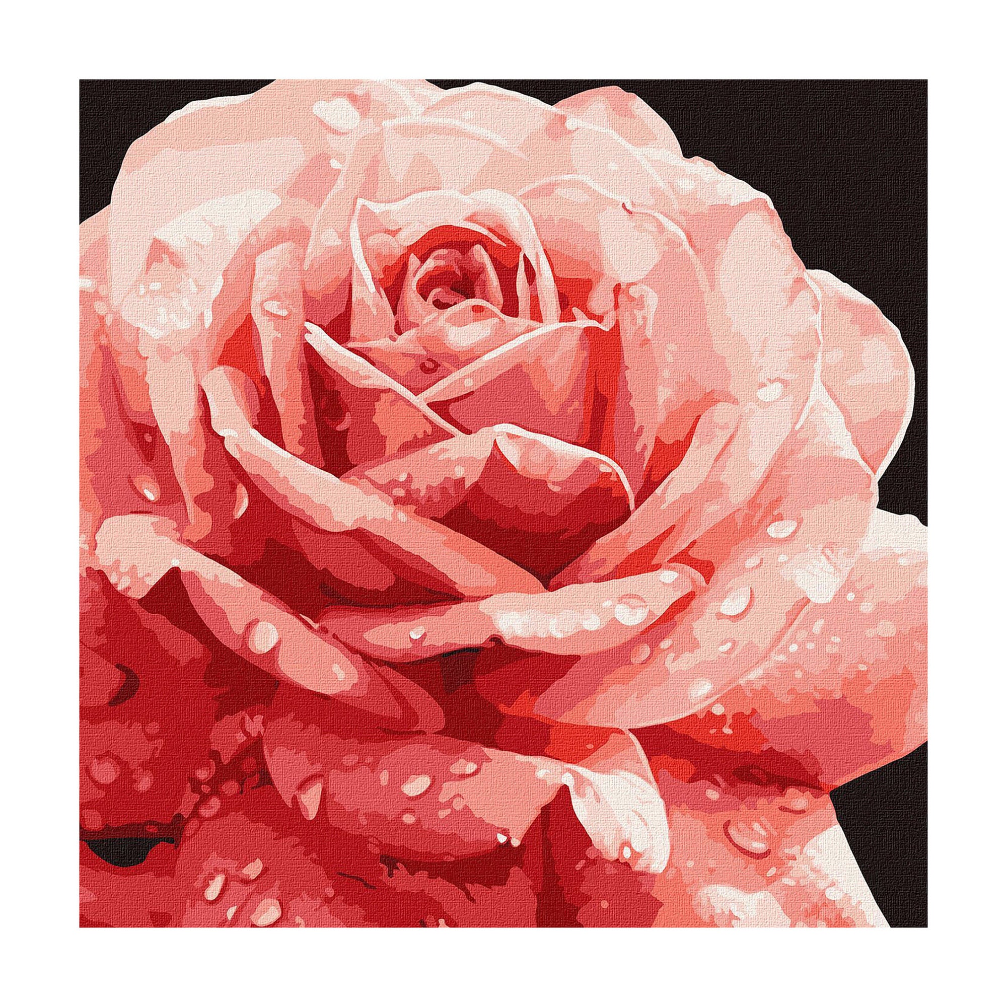 

Картина за номерами Ideyka Досконала троянда, 40*40 см (KHO3236)