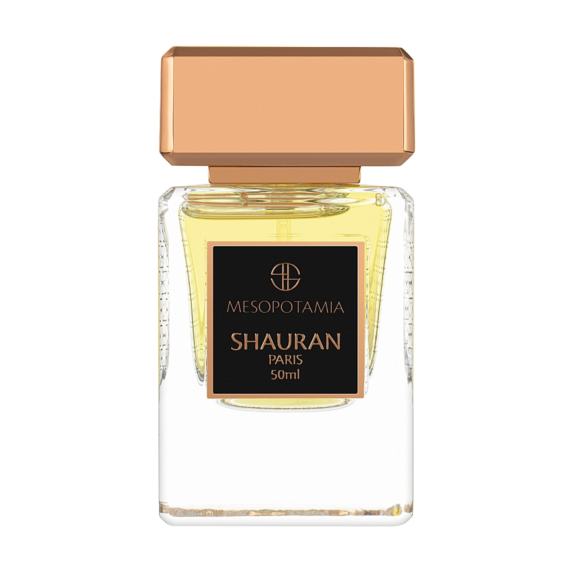 

Shauran Mesopotamia Парфумована вода унісекс, 50 мл (ТЕСТЕР)