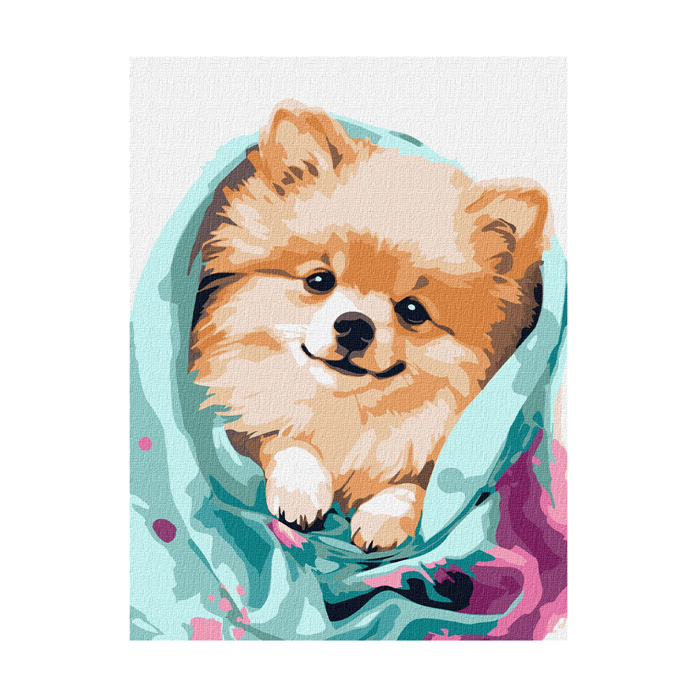 

Картина за номерами Ideyka Щасливий шпіц, 30*40 см (KHO6545)