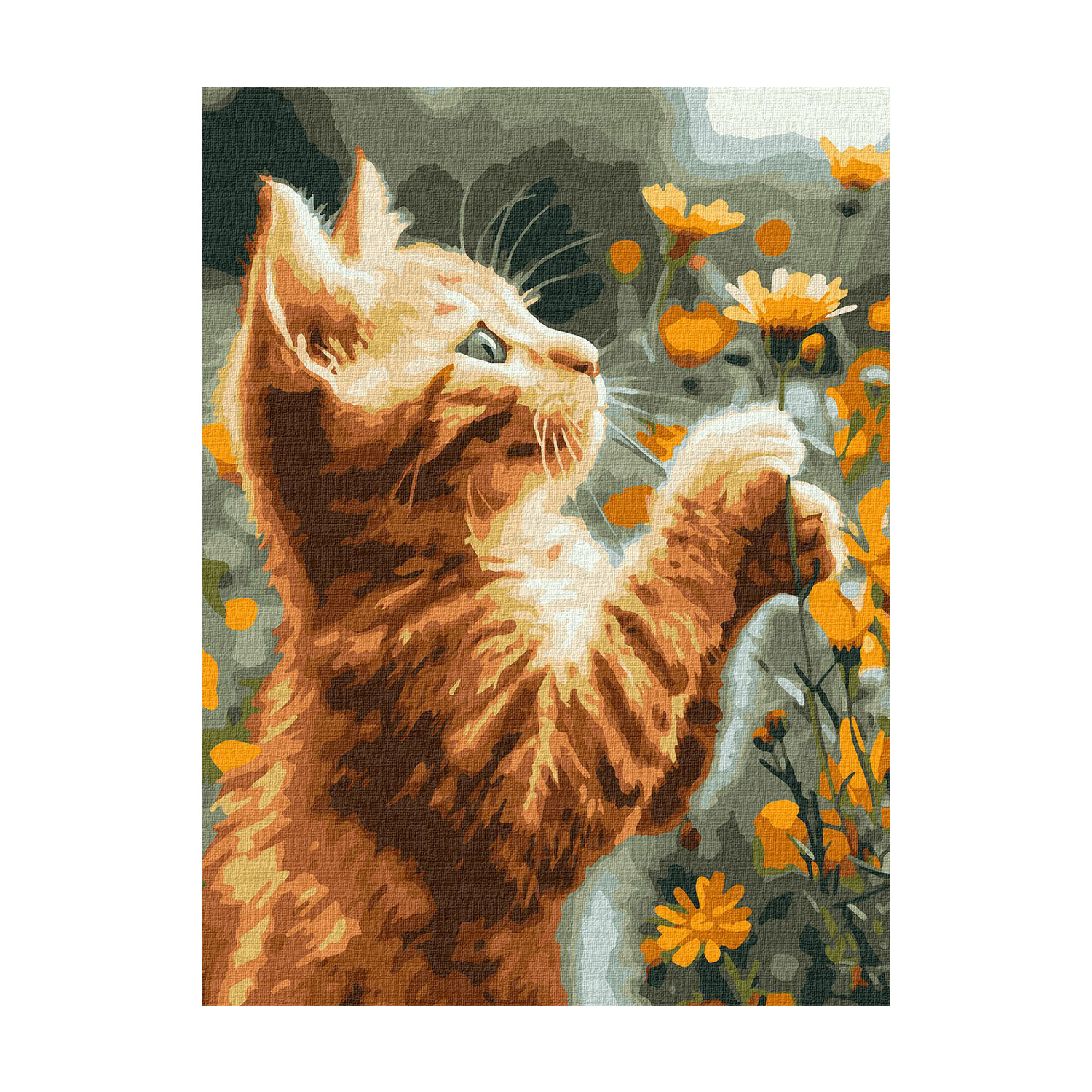 

Картина за номерами Ideyka Рудий пухнастик, 30*40 см (KHO6607)