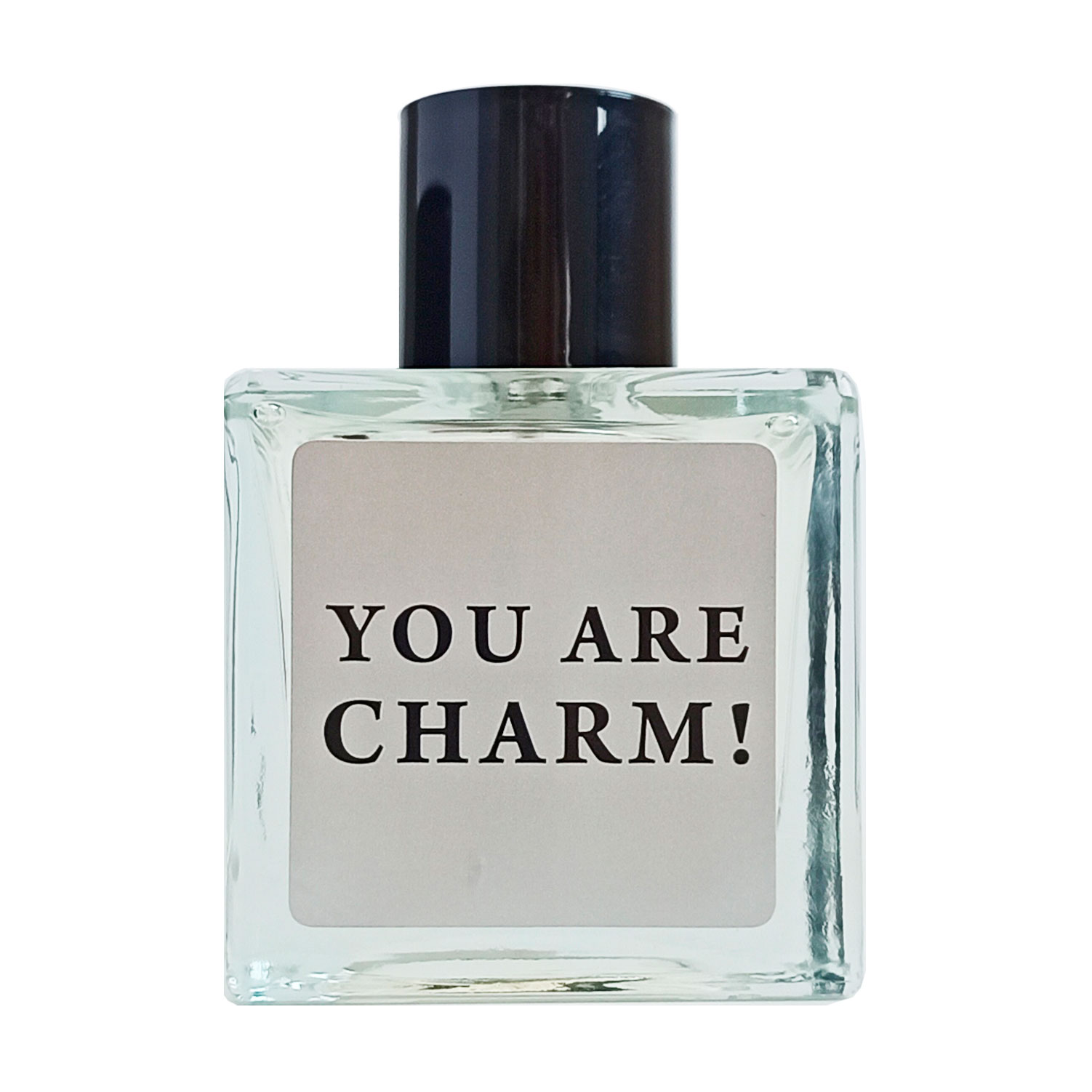 

Aromat You are Charm! Туалетна вода чоловіча, 100 мл