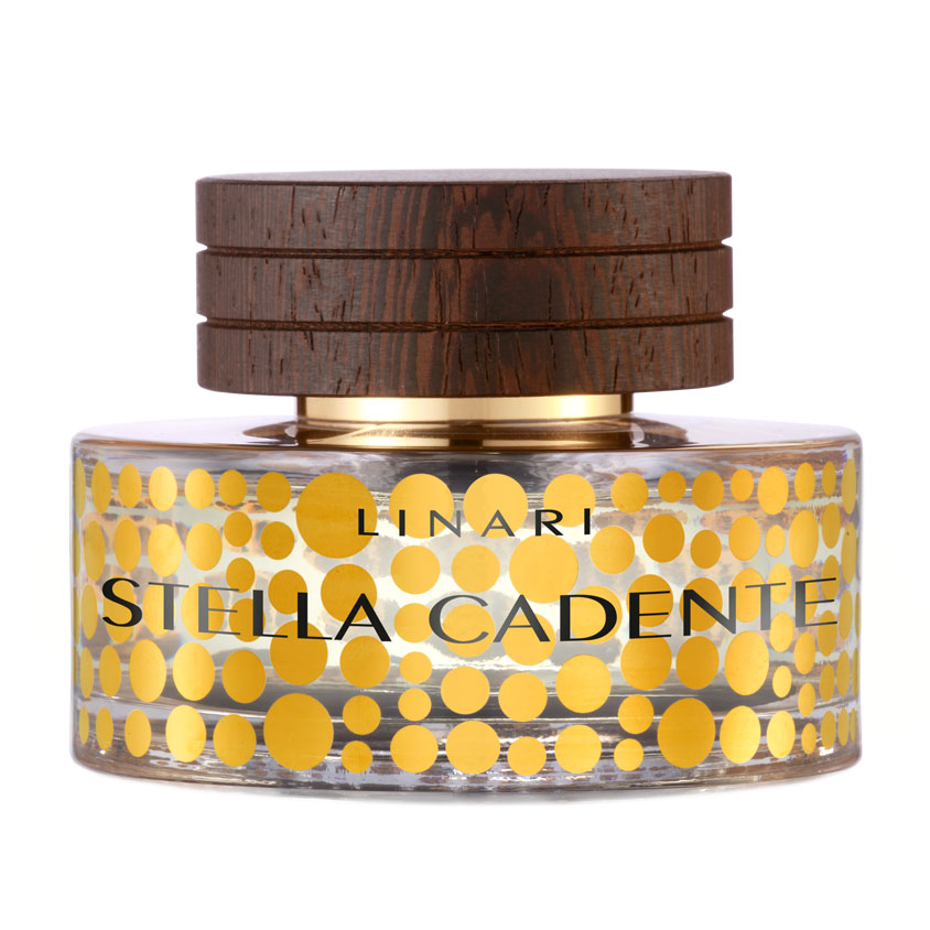 

Linari Stella Cadente Парфумована вода унісекс, 100 мл (ТЕСТЕР)