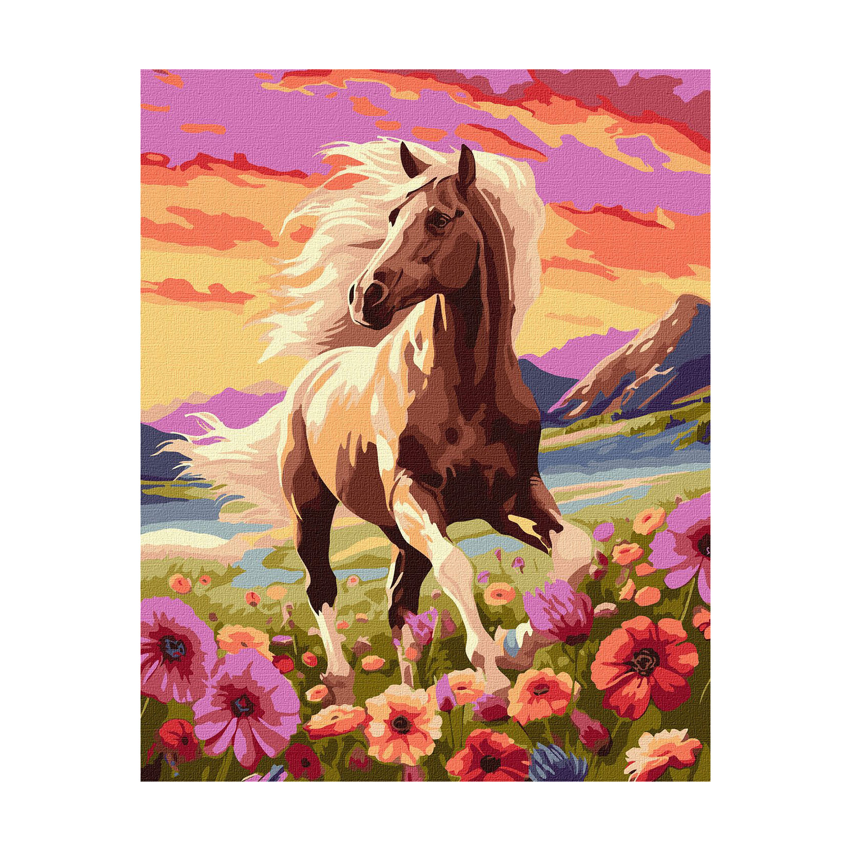 

Картина за номерами Ideyka Витончений кінь, 40*50 см (KHO6584)