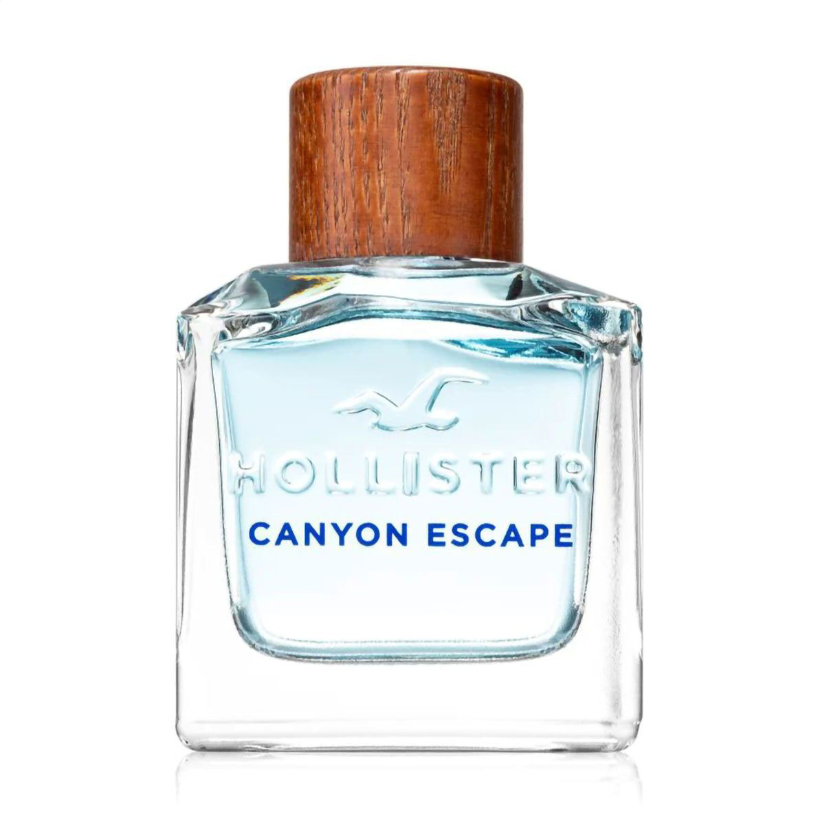 

Hollister Canyon Escape Man Туалетна вода чоловіча, 100 мл (ТЕСТЕР)