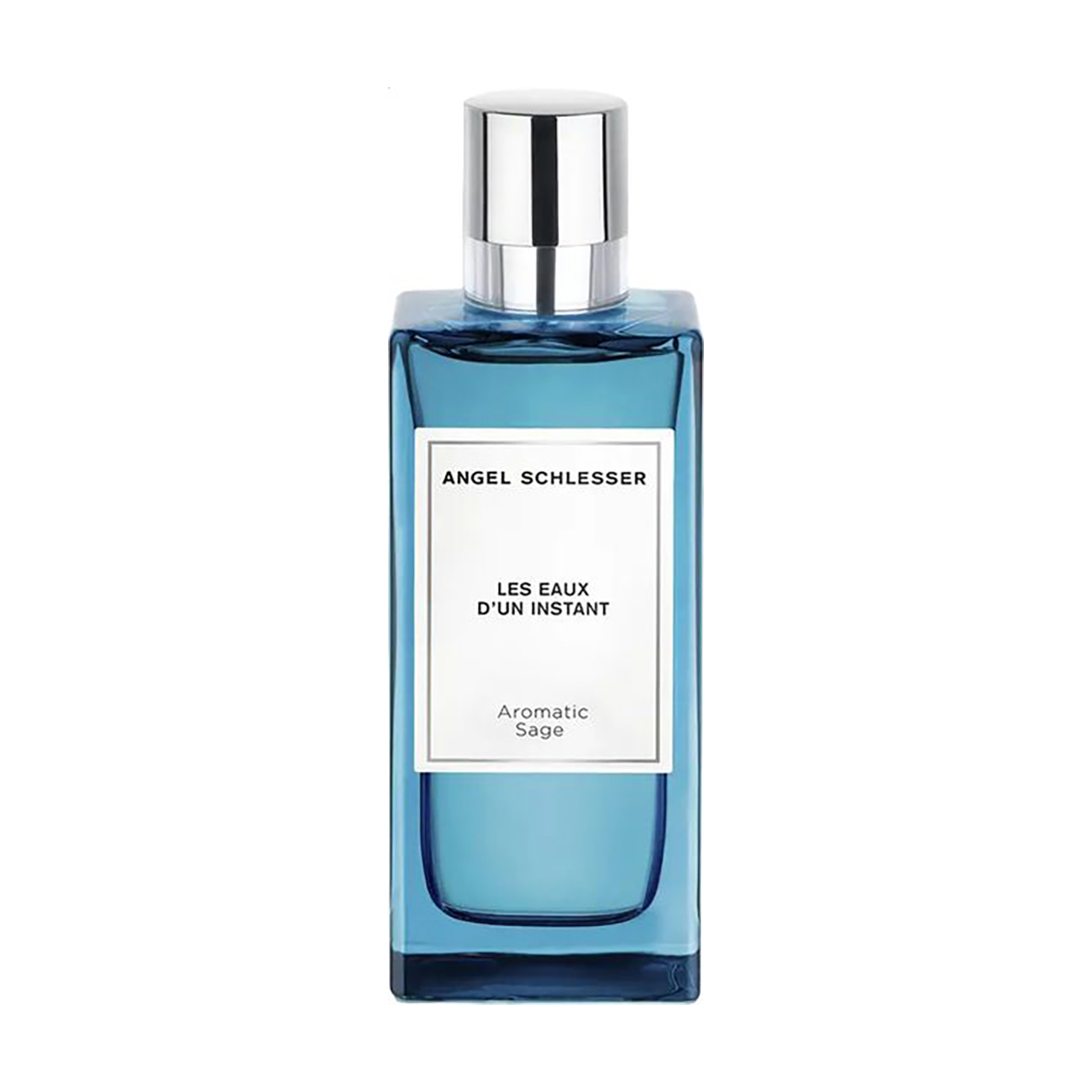 

Angel Schlesser Aromatic Sage Туалетна вода чоловіча, 100 мл (ТЕСТЕР)